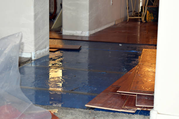 Professional Sewage Cleanup technician working in Nunica, MI
